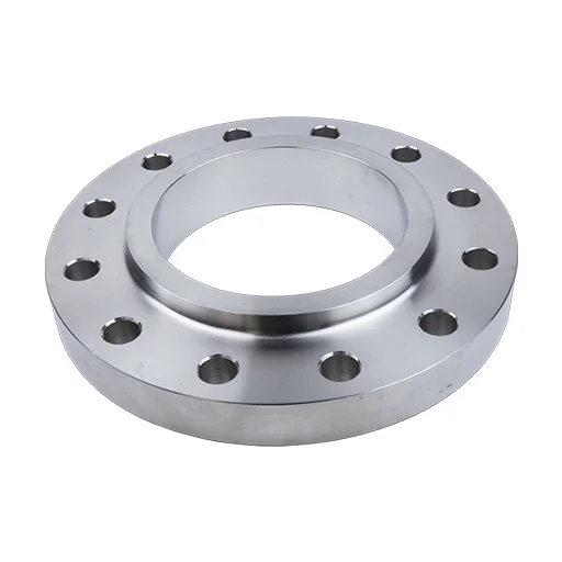 SS 304L Slip-On Flanges (SORF)